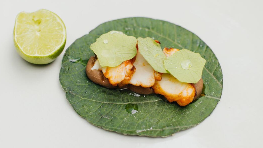 No descubrí nada nuevo ni estoy construyendo castillos sobre el aire: Enrique Olvera