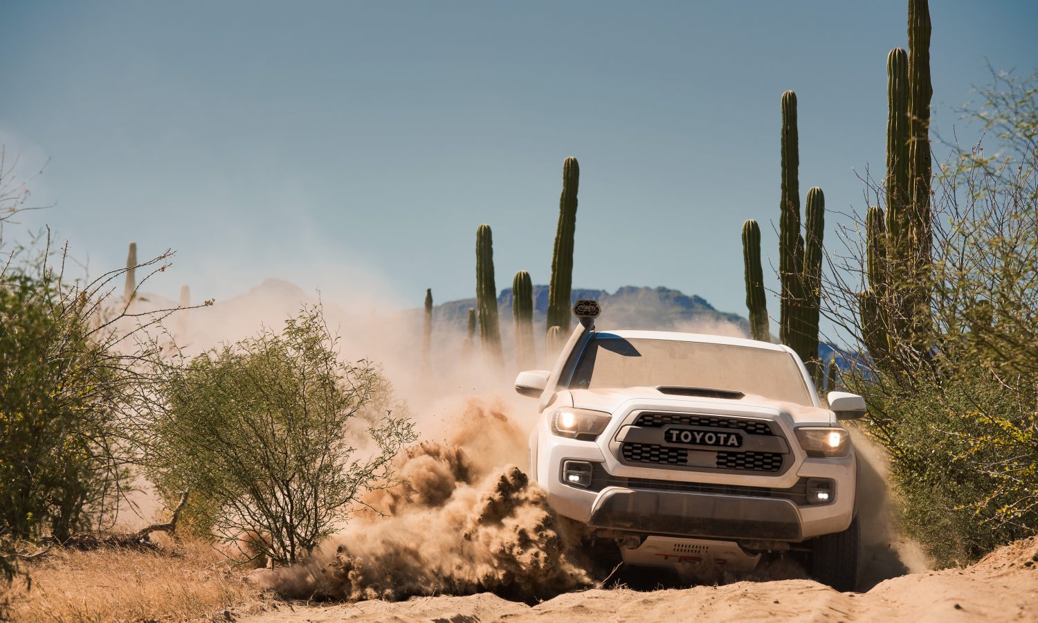 Querétaro se alista para la apertura de Toyota