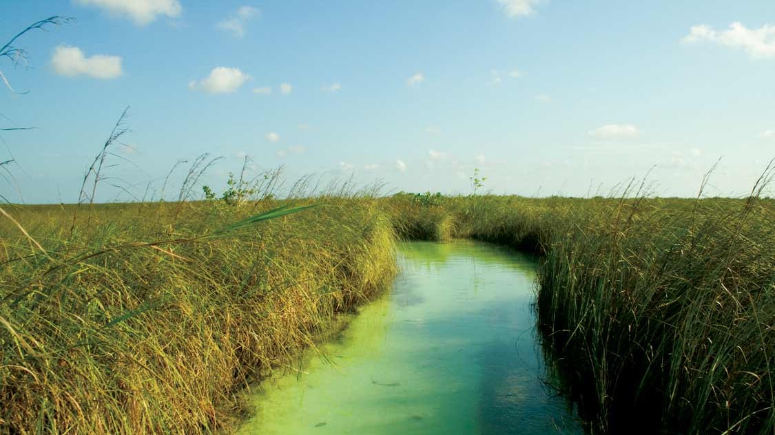 La reserva cuenta con varios ecosistemas.