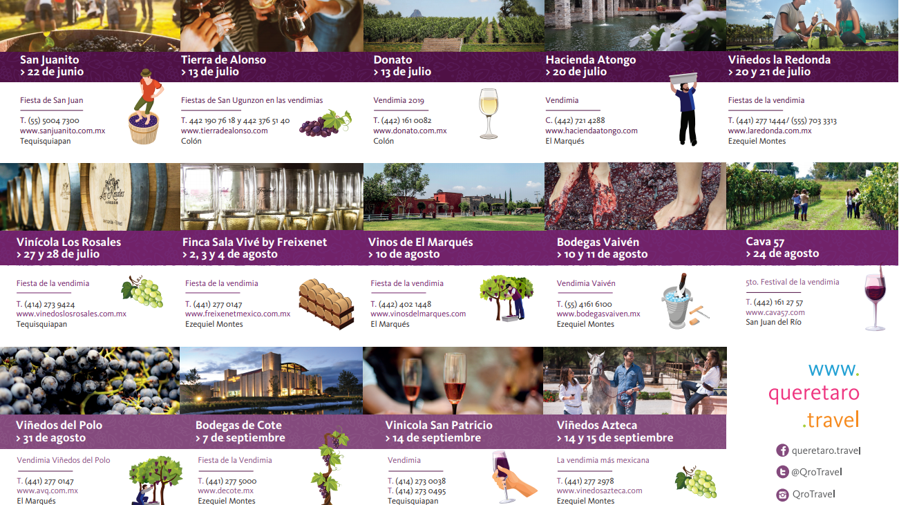 ¿Planeas ir a las fiestas de vendimia en Querétaro? Aquí te compartimos el calendario