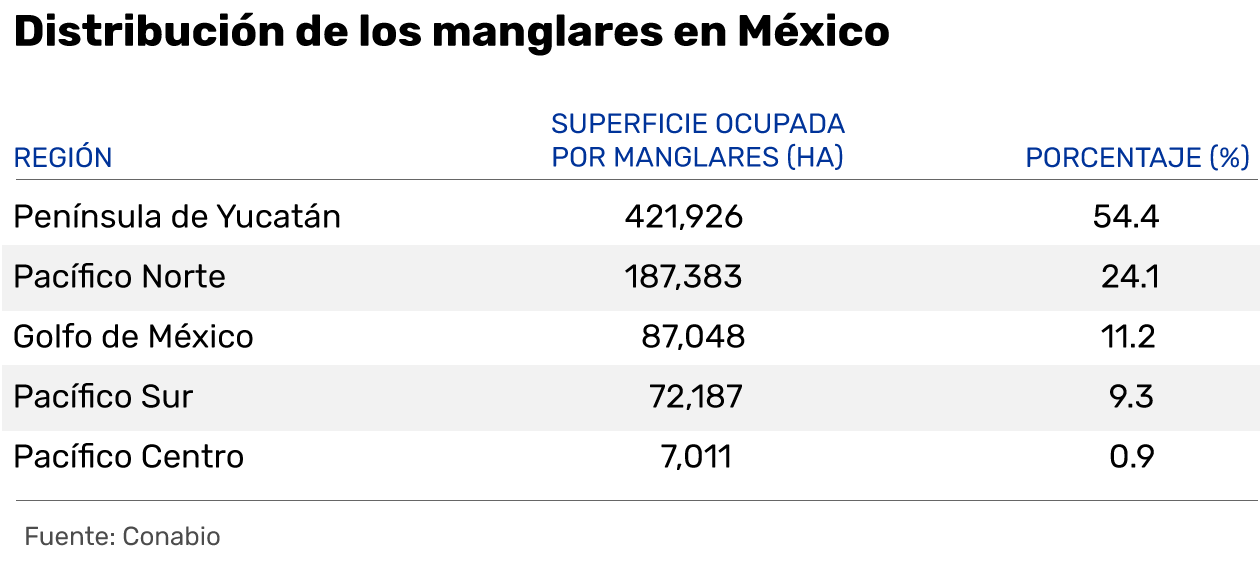 ¿Por qué son tan importantes los manglares?