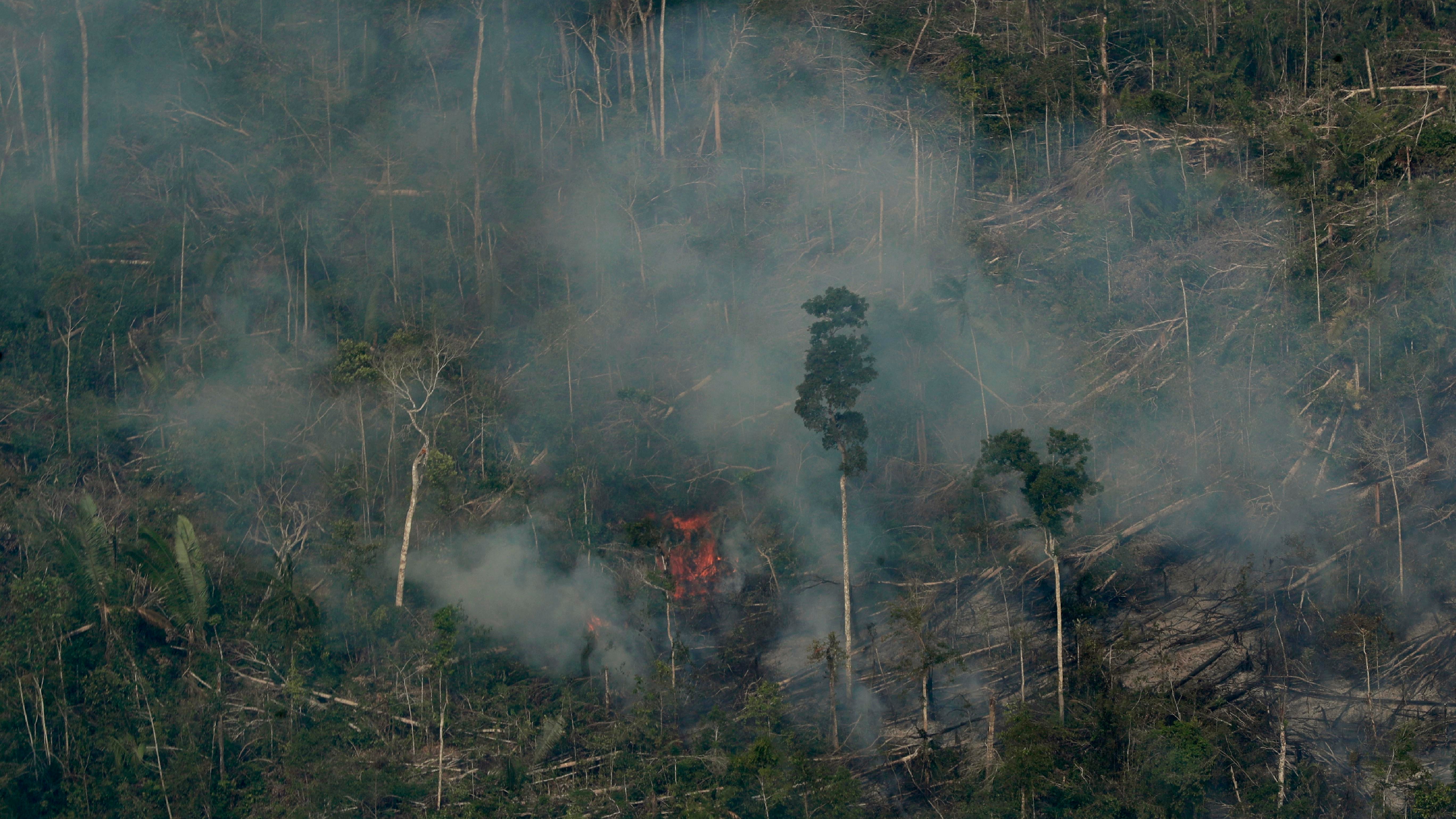 Bomberos brasileños luchan contra incendios en un Amazonas cubierto de humo