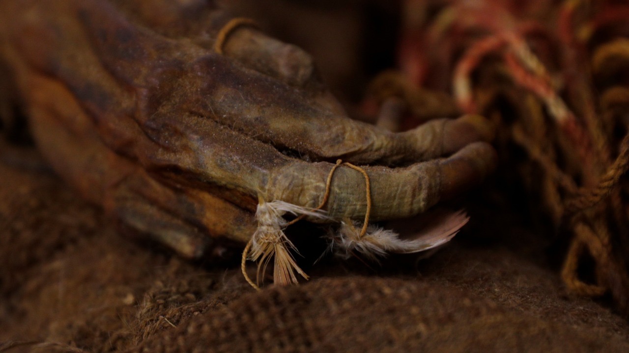 Detalle de las manos de Ñusta, momia de una niña inca.