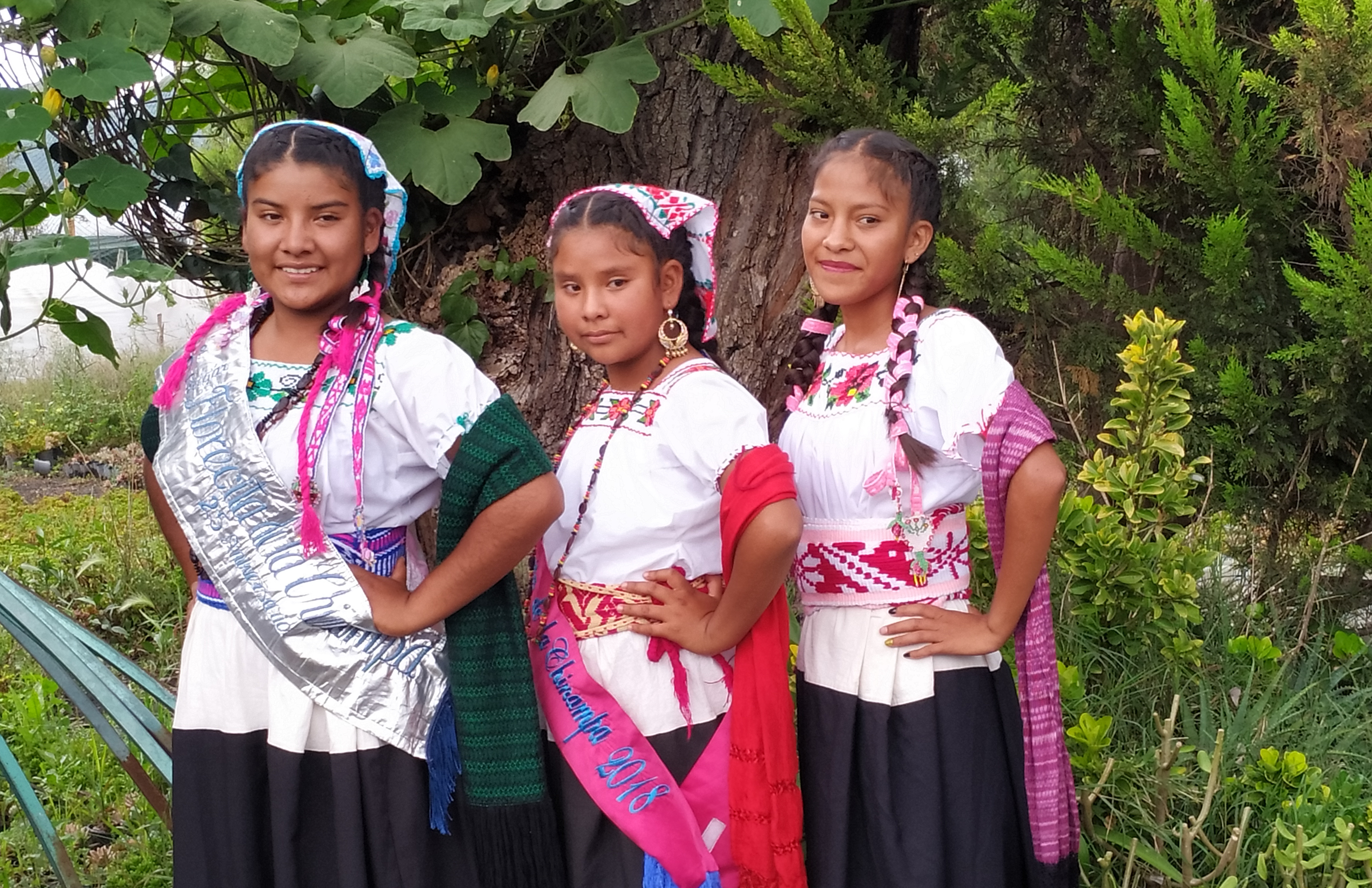 Las Florecitas de Xochimilco: es un grupo de niñas que cada semana ayudan a limpiar Xochimilco.