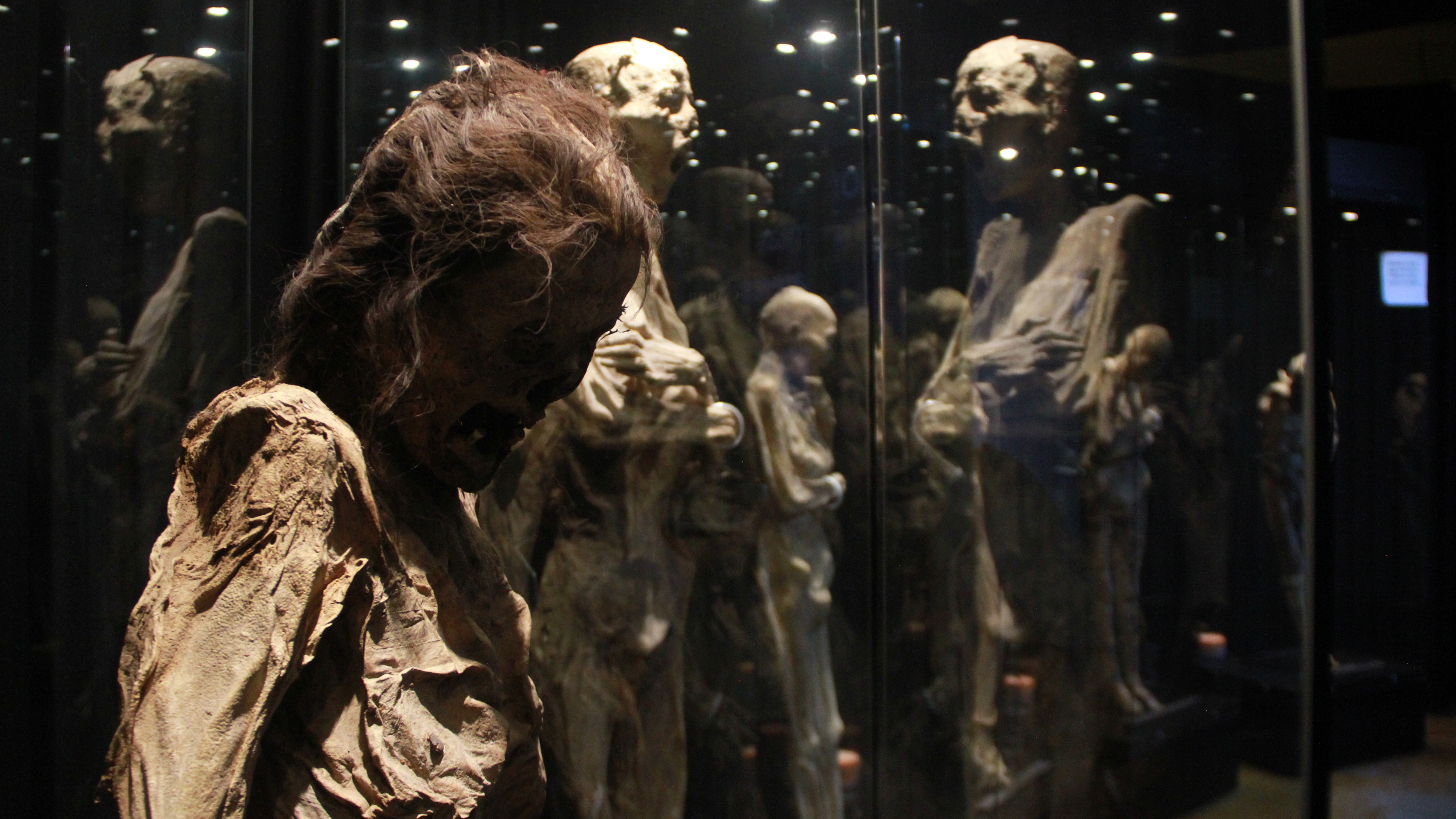 Esta muestra es una ampliación del acervo que posee el Museo de las Momias en el centro histórico de la ciudad de Guanajuato.