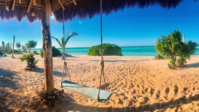 Cozumel Pearl Farm es la única granja de perlas activa en todo el mar Caribe.