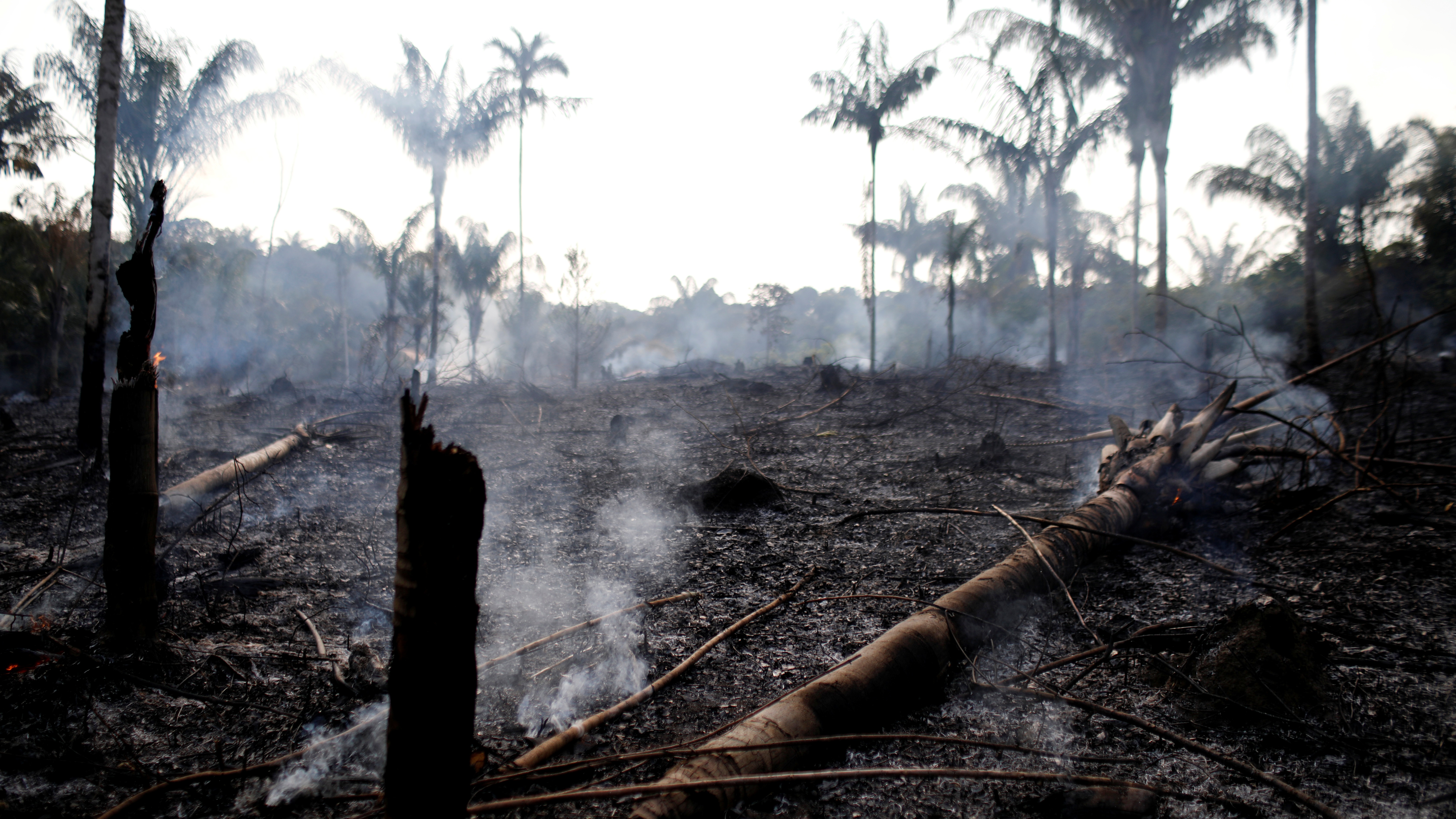 Días grises y noches amarillas: así es el Amazonas 'bajo fuego'