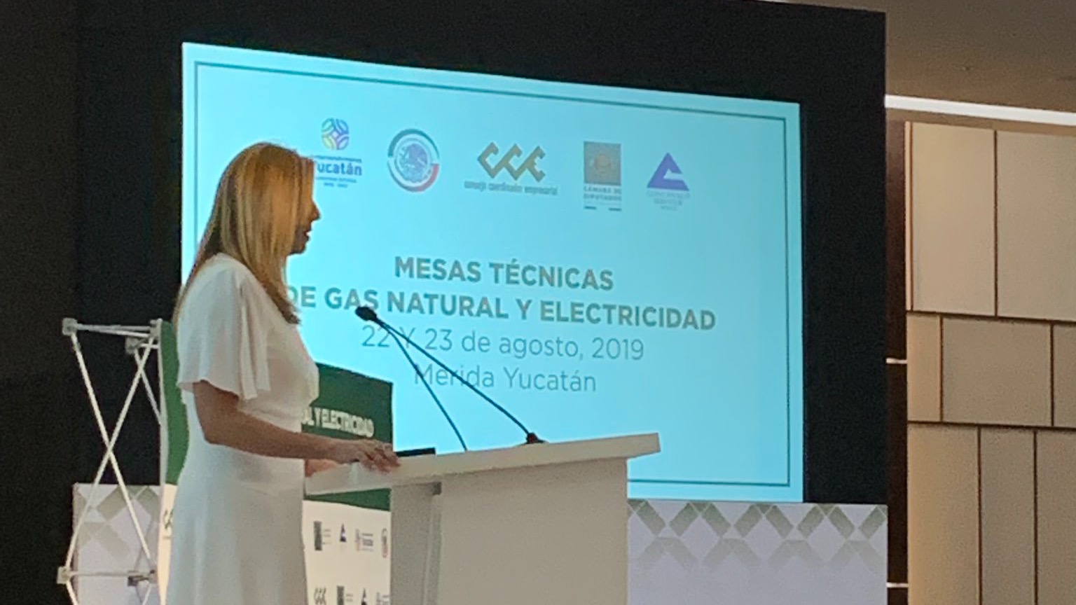 La directora de Cenagas presentando el plan.