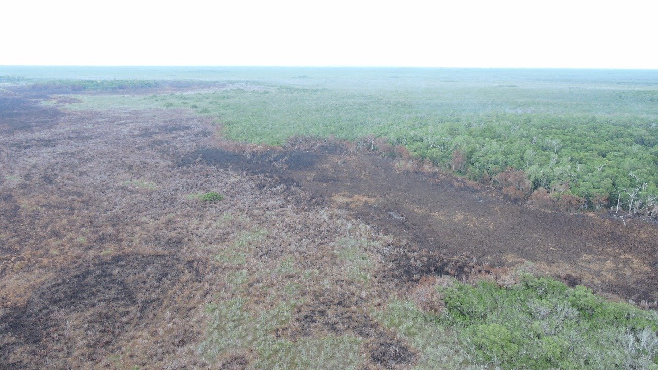 Zona afectada por el incendio.