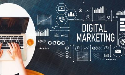 La adaptación en el Marketing Digital del siglo XXI-¿Cómo hacer Marketing Digital sin morir en el intento?