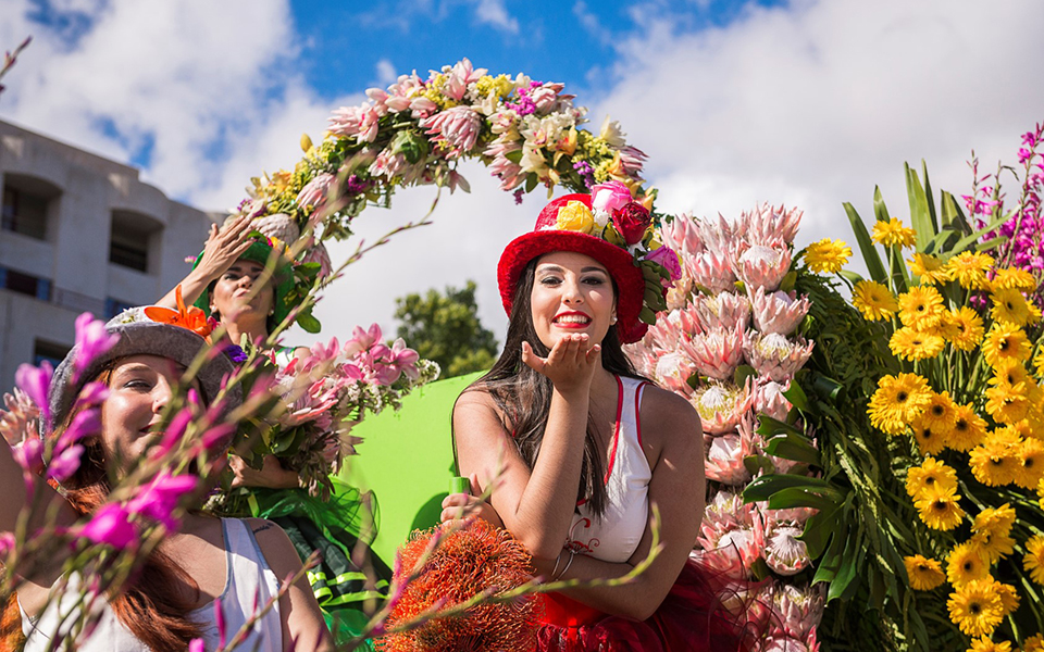 Cores e aromas juntam milhares este domingo para assistir à Festa da Flor – O Jornal Económico