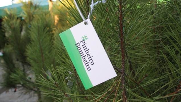 Galp, Grupo Lizauto e EDP Comercial associam-se à iniciativa Pinheiro Bombeiro - Meios & Publicidade