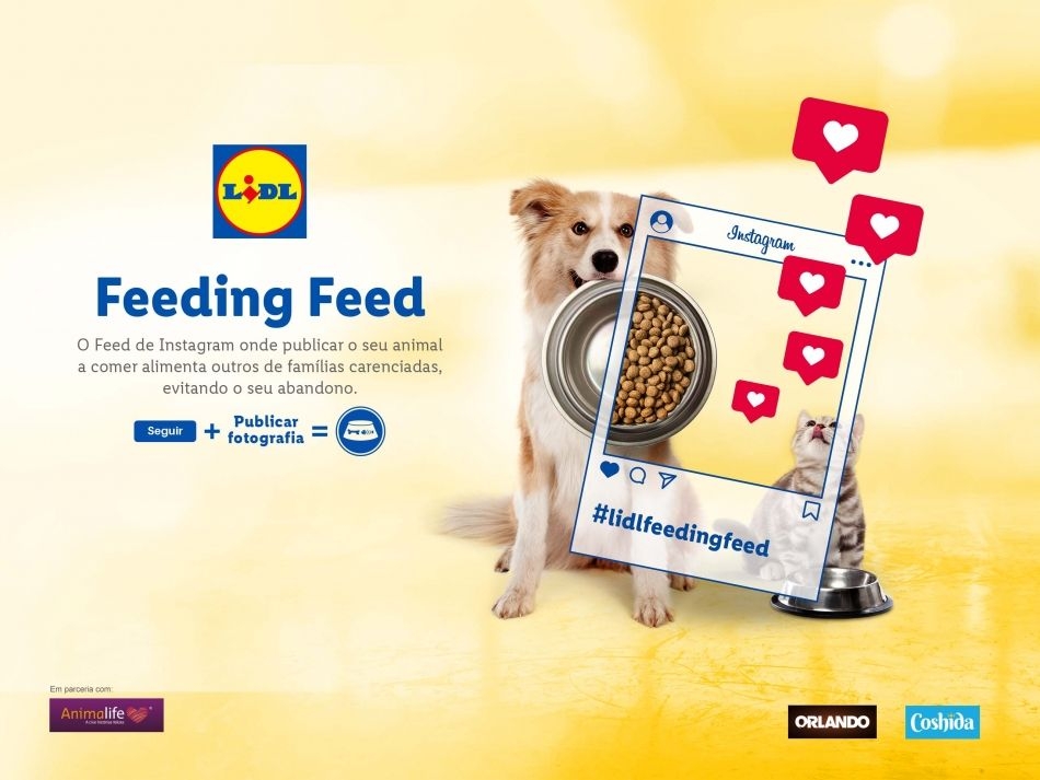 Lidl quer criar um feed de Instagram que alimenta animais de famílias carenciadas - Meios & Publicidade