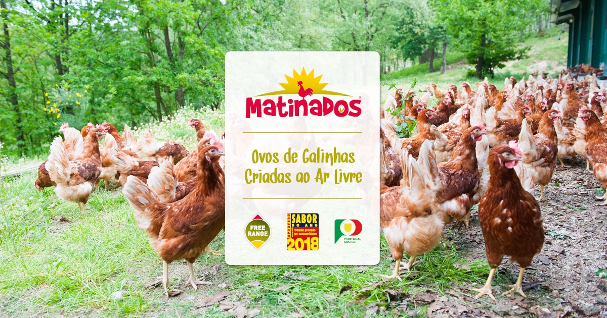 Companhia Avícola do Centro e marca Ovos Matinados trabalhadas pela Jervis Pereira - Meios & Publicidade
