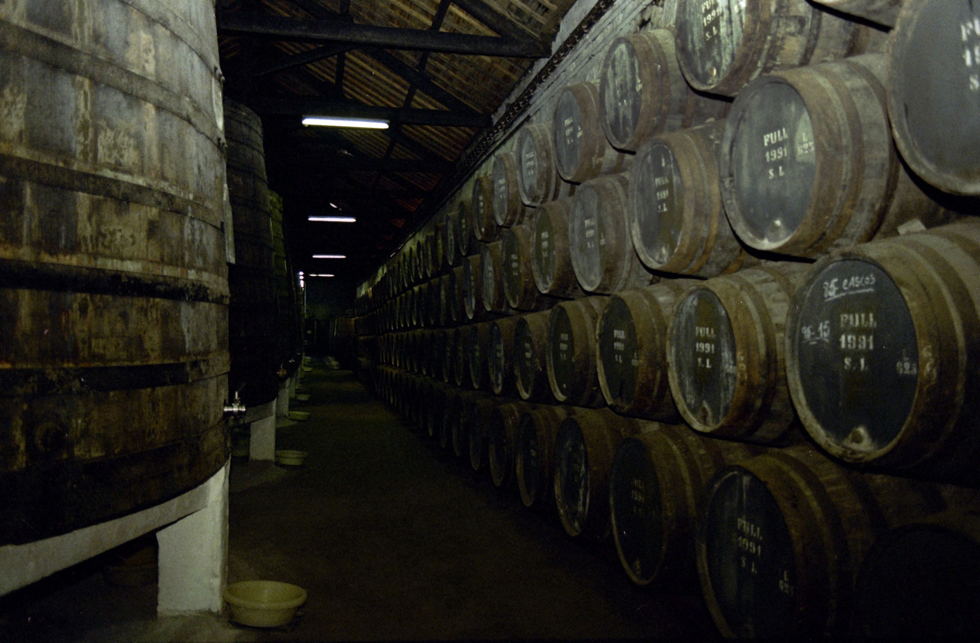 Caves de Vinho do Porto com menos 81,8% de visitantes em 2020 – Observador
