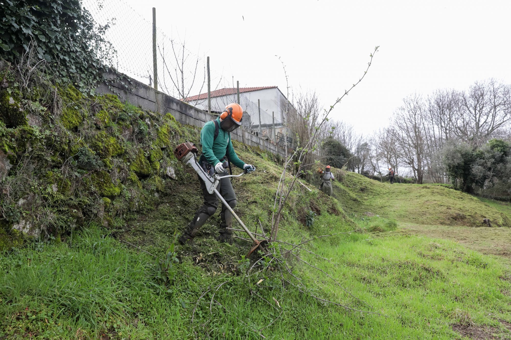 Incêndios. Prazo de limpeza de terrenos florestais termina daqui a um mês – Observador