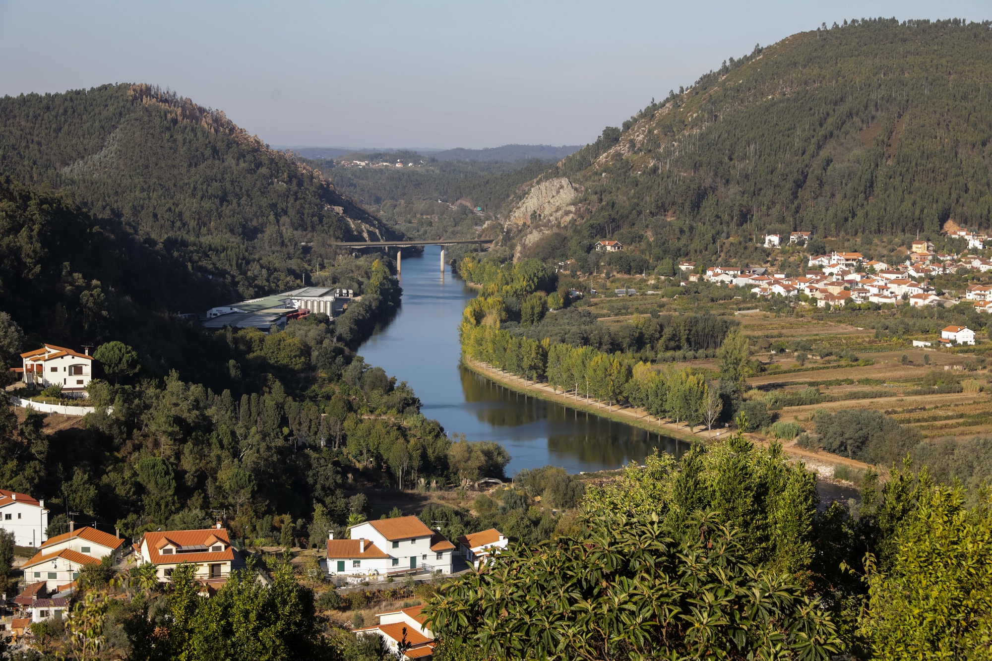 Incêndios. Penacova instala 16 parques de recolha de sobrantes agroflorestais