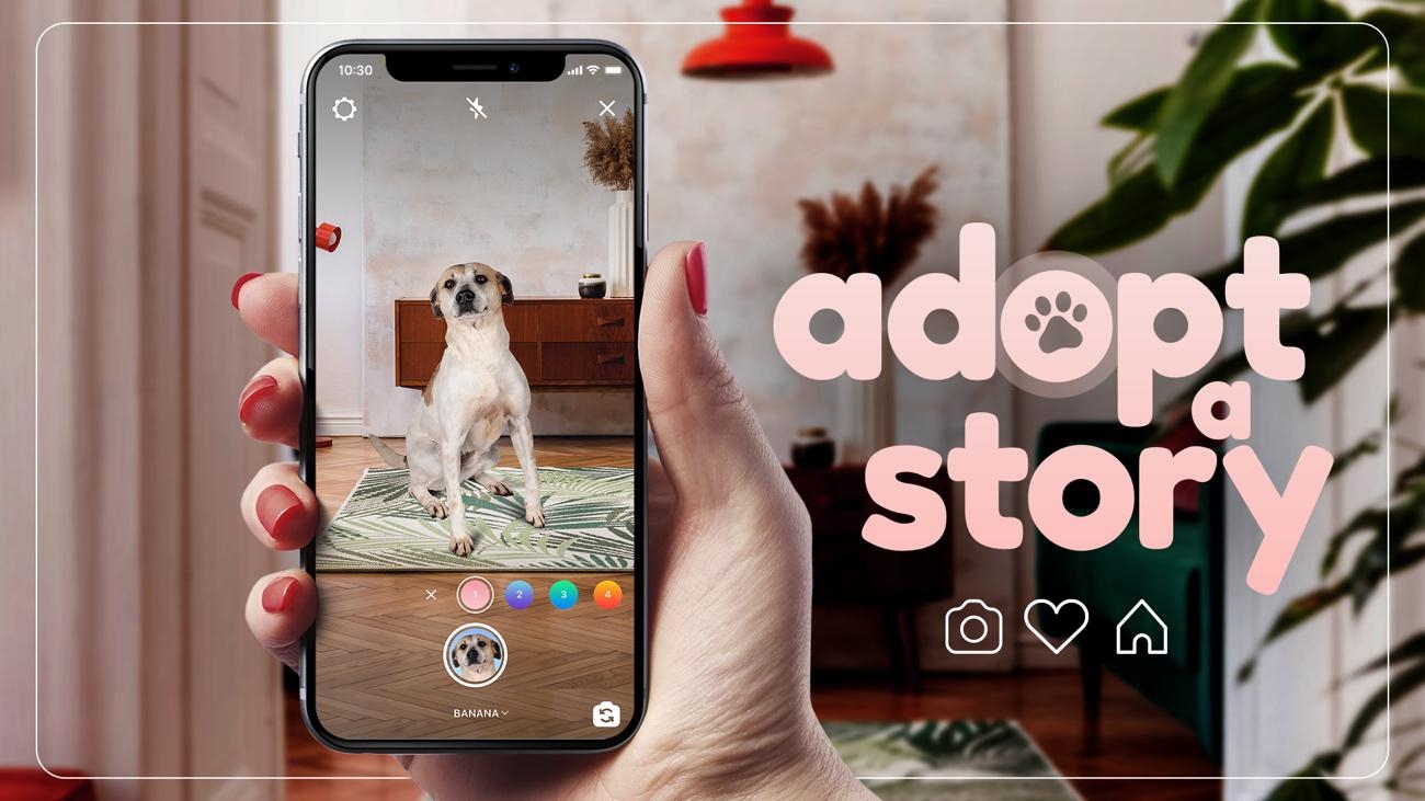 Nossa dá casa a animais para adopção através de filtro no Instagram - Meios & Publicidade