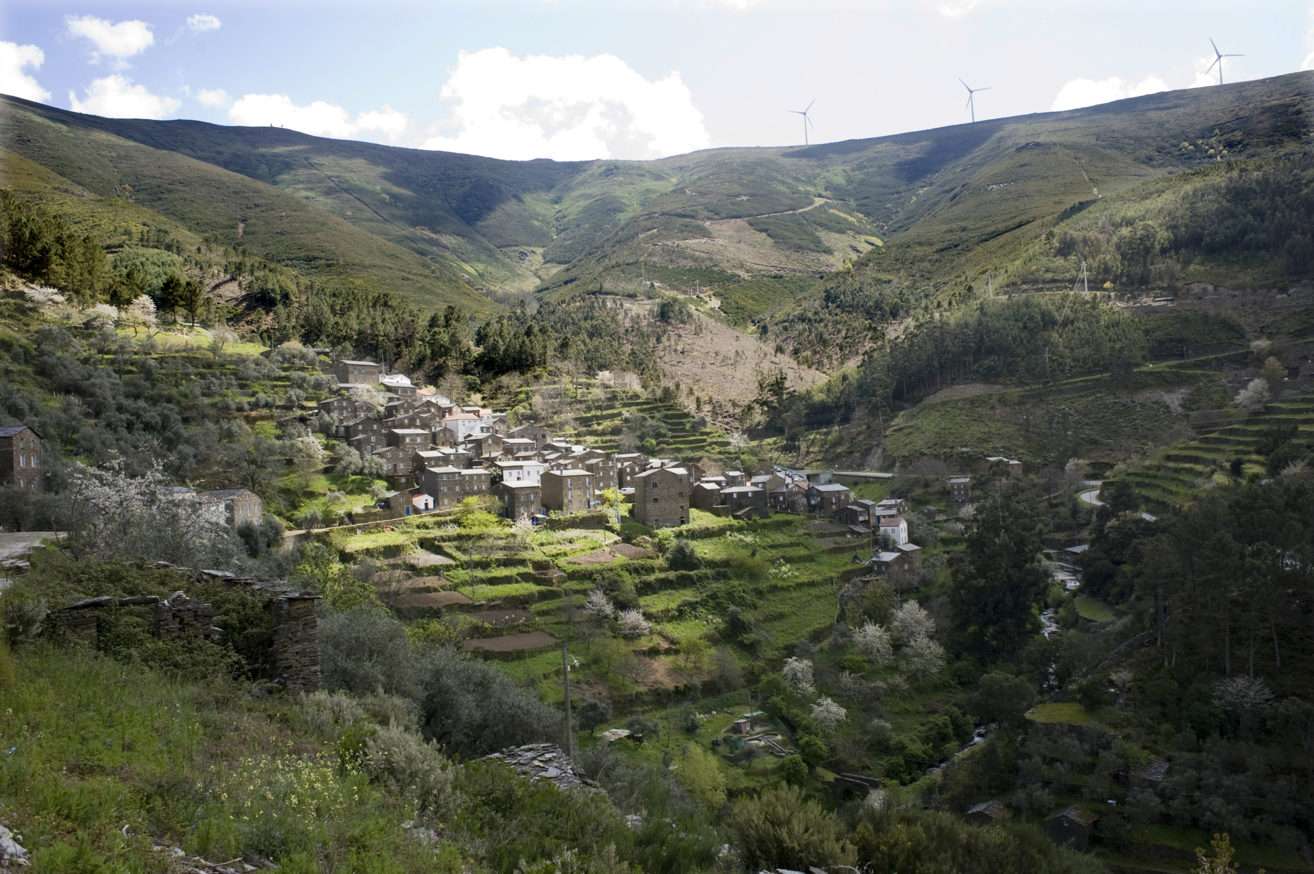 Governo e Turismo dos Açores preparam reativação de mercados dos EUA e Canadá para a Terceira