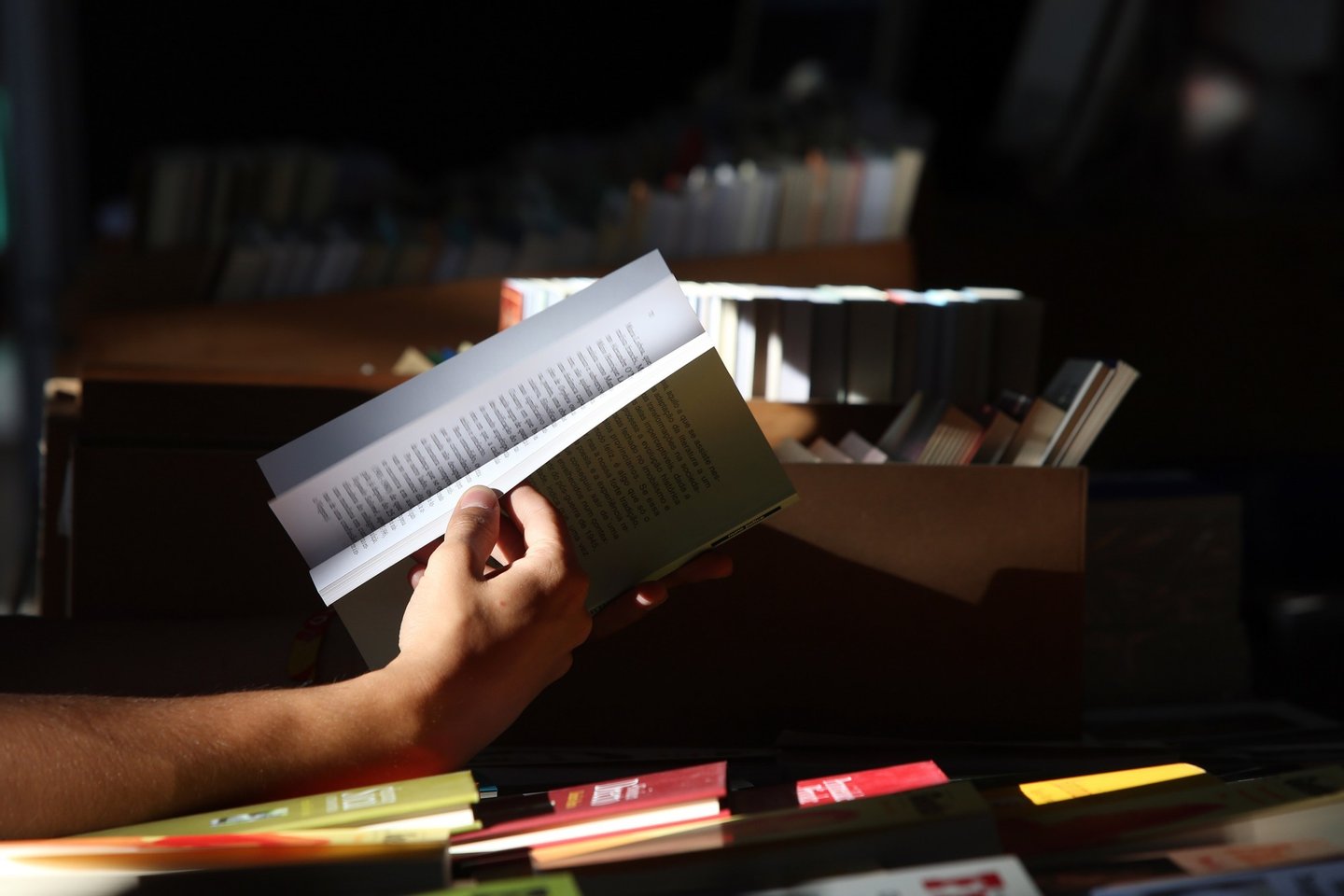 Penguin Random House e 20|20 juntam-se para criar novo grupo editorial em Portugal