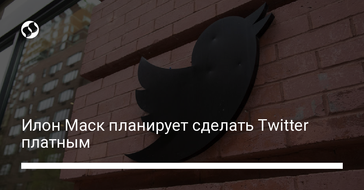 Платный Twitter: новые планы Илона Маска - новости Украины,