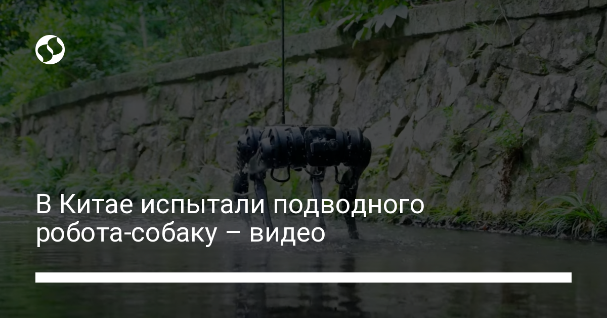 В Китае испытали подводного робота-собаку – видео - новости Украины,