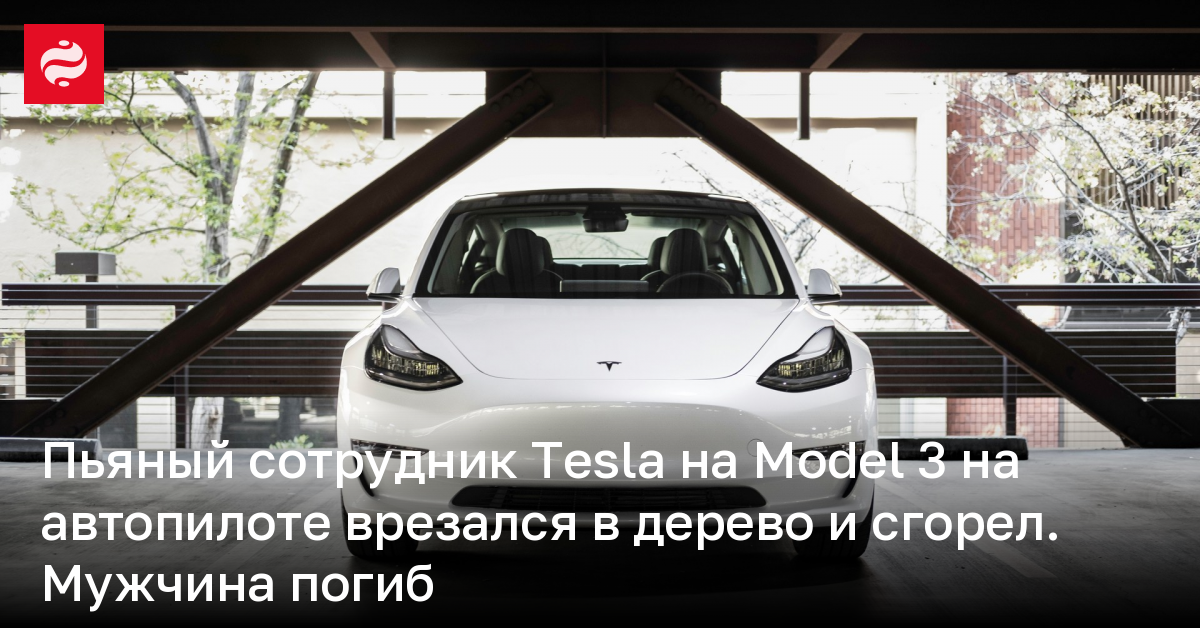 Пьяный сотрудник Tesla на Model 3 на автопилоте врезался в дерево и сгорел – мужчина погиб | Новости Украины