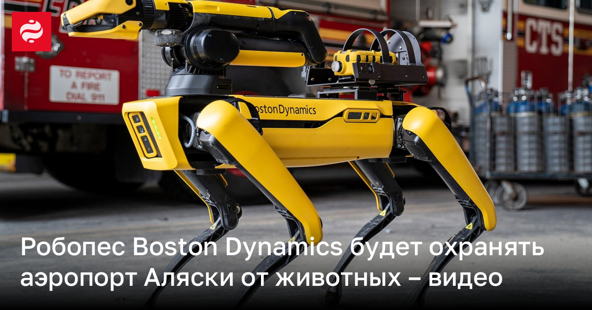 Робопес Boston Dynamics будет охранять аэропорт Аляски от животных – видео | Новости Украины
