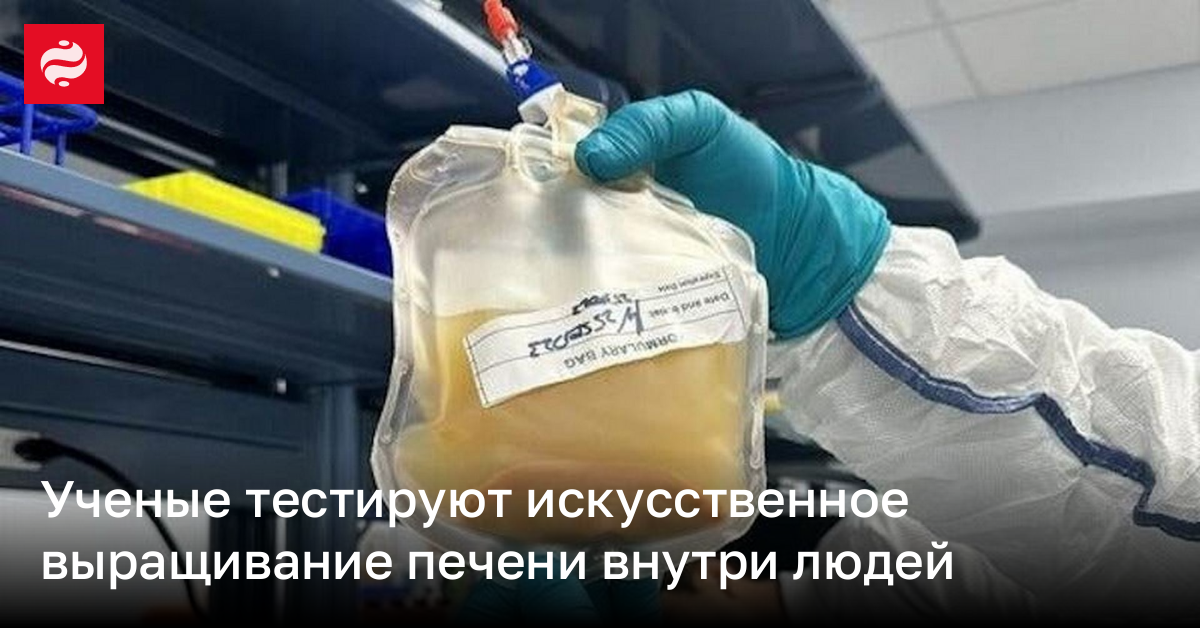 Ученые тестируют искусственное выращивание печени внутри людей | Новости Украины