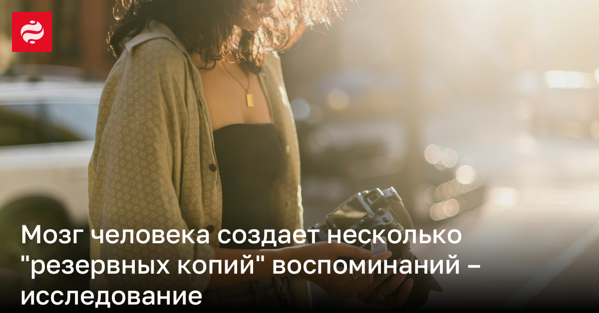 Человеческий мозг создает три копии воспоминаний. | Новости Украины
