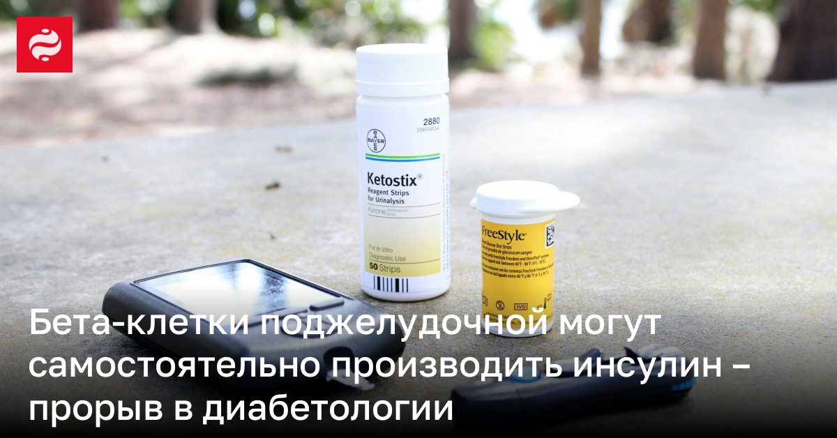 Бета-клетки поджелудочной могут самостоятельно производить инсулин – прорыв в диабетологии | Новости Украины