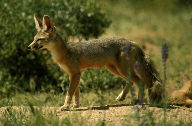 6a4009ea9f0d2a55cefdf4f7f7043aa2