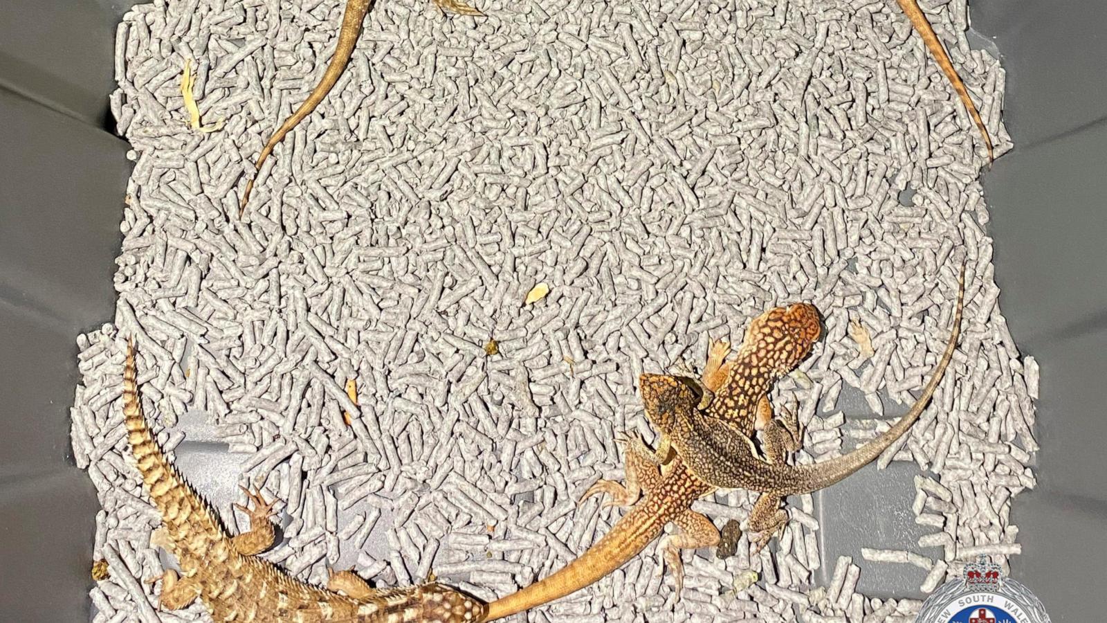 wirestory d65af13756b38f14c1233a8151a6e02e 16x9 1600