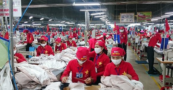 Nhiều cổ phiếu nổi sóng, thị trường vẫn chưa thể phục hồi
