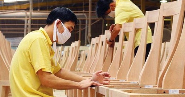 Gỗ Trường Thành (TTF) hoàn tất phát hành 95,6 triệu cổ phần hoán đổi, thu ròng 300 tỷ đồng