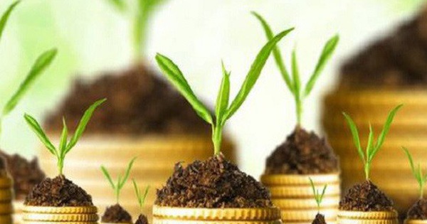 Lịch chốt quyền nhận cổ tức bằng tiền của 17 doanh nghiệp