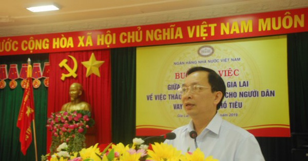 Người trồng hồ tiêu cầu cứu ngân hàng