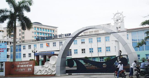 Trường đại học Hàng Hải bán vốn tại một công ty vận tải biển, giá khởi điểm hơn 90 tỷ đồng