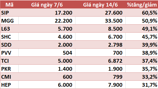 10 cổ phiếu tăng/giảm mạnh nhất tuần: Nhóm vừa và nhỏ vẫn hút dòng tiền - Ảnh 5.