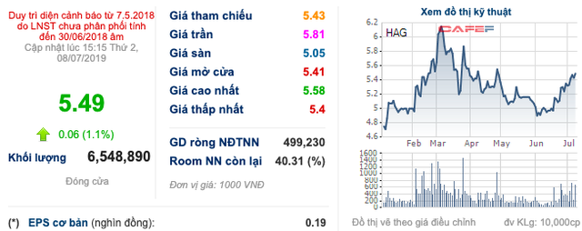 Liên tục cùng nhau phá đỉnh, HAGL muốn bán ra 60 triệu cổ phiếu HAGL Agrico - Ảnh 2. Liên tục cùng nhau phá đỉnh, HAGL muốn bán ra 60 triệu cổ phiếu HAGL Agrico - Ảnh 2.