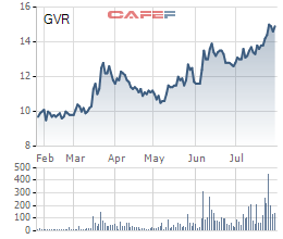 Tập đoàn Cao su (GVR): 6 tháng lãi sau thuế 1.059 tỷ đồng, tăng 15,7% cùng kỳ năm trước - Ảnh 3. Tập đoàn Cao su (GVR): 6 tháng lãi sau thuế 1.059 tỷ đồng, tăng 15,7% cùng kỳ năm trước - Ảnh 3.