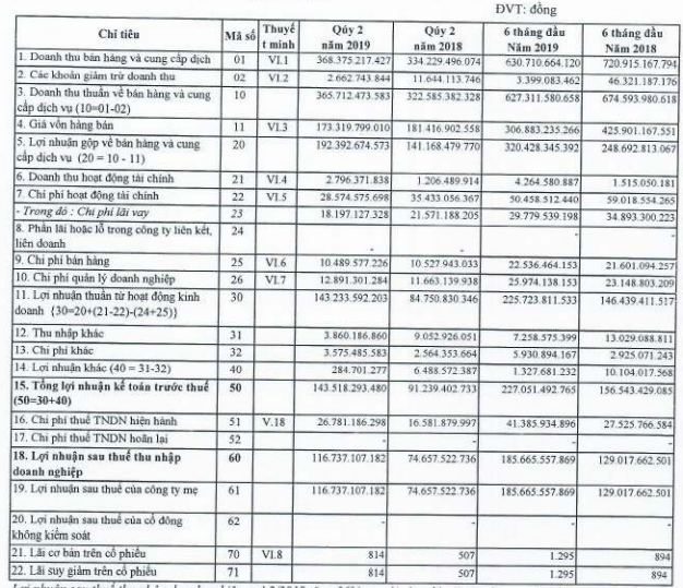 Becamex IJC: Quý 2 lãi 117 tỷ đồng tăng 56% so với cùng kỳ - Ảnh 1.