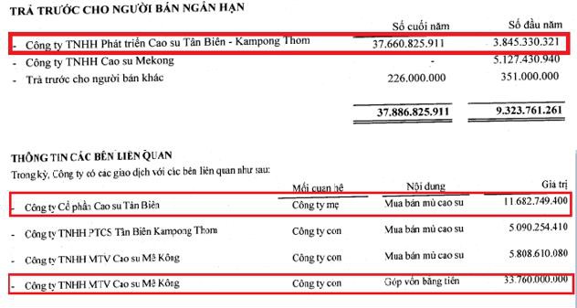 Cao su Tân Biên – Kampong Thom (TKR): Quý 2 thoát lỗ nhờ nguồn thu tài chính - Ảnh 1.