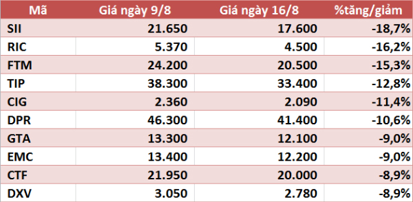 10 cổ phiếu tăng/giảm mạnh nhất tuần: Có mã gần gấp đôi - Ảnh 2. 10 cổ phiếu tăng/giảm mạnh nhất tuần: Có mã gần gấp đôi - Ảnh 2.