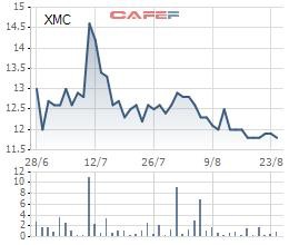 Xuân Mai Corp (XMC): Lãi ròng nửa đầu năm giảm mạnh 65%, nợ phải trả cao gấp 5 lần vốn - Ảnh 1.
