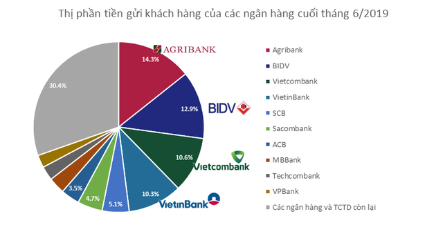 Thị phần tiền gửi của các ngân hàng hiện nay như thế nào? - Ảnh 1.