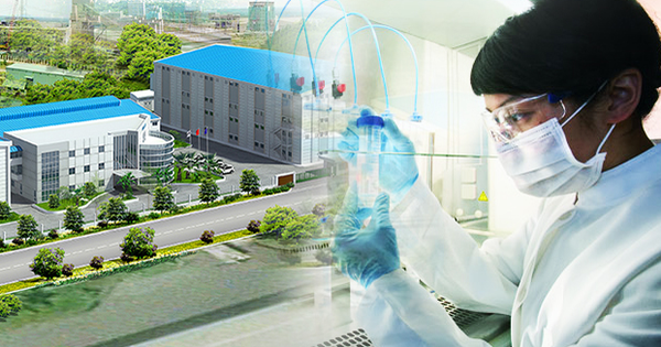 Navetco (VET) chuẩn bị chi trả cổ tức bằng tiền tỷ lệ 40%