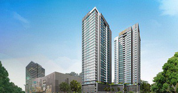 Xây dựng số 5 (SC5) chuẩn bị chi trả cổ tức bằng tiền mặt tỷ lệ 20%