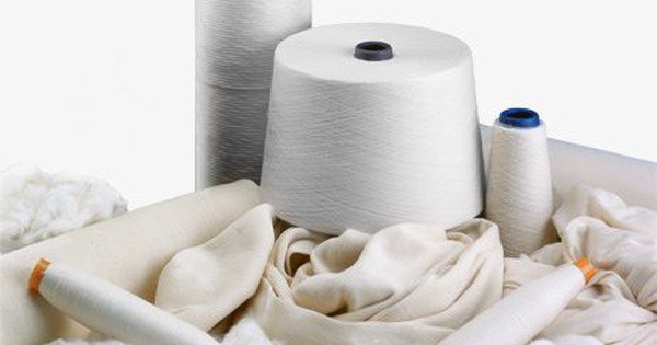 6 điểm nhất định phải biết trước khi lao theo bắt đáy cổ phiếu FTM