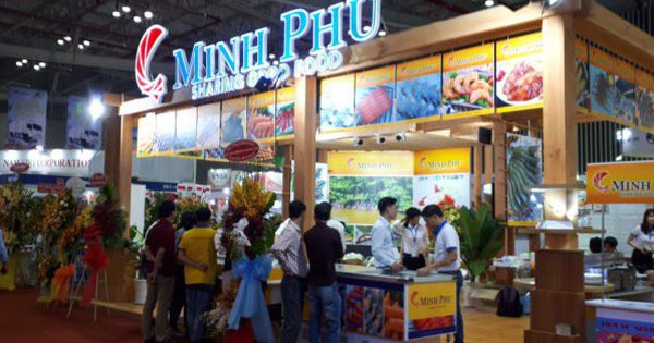 Không có cáo buộc điều tra chính thức nào đối với tôm của Minh Phú